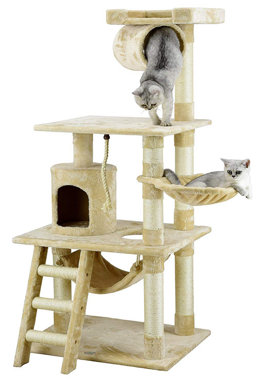 ragdoll cats play tree hopuse