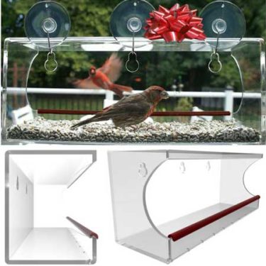 window feeder