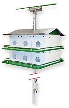 Nature House Martin bird house Safety System with Pole