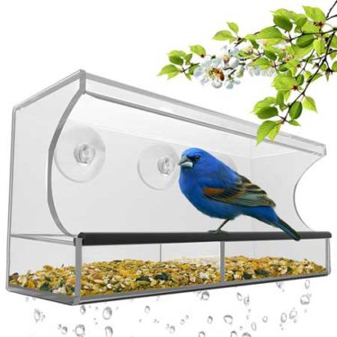 best rated wild bird window feeder large