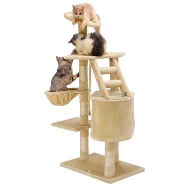 Best cat trees for big cats