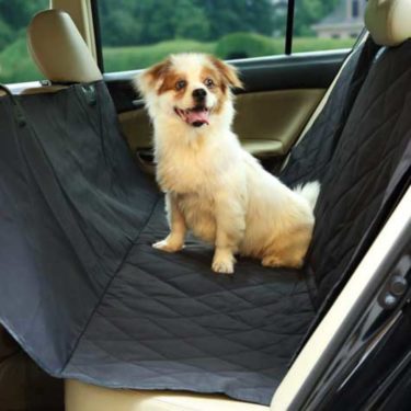 car cover for pets
