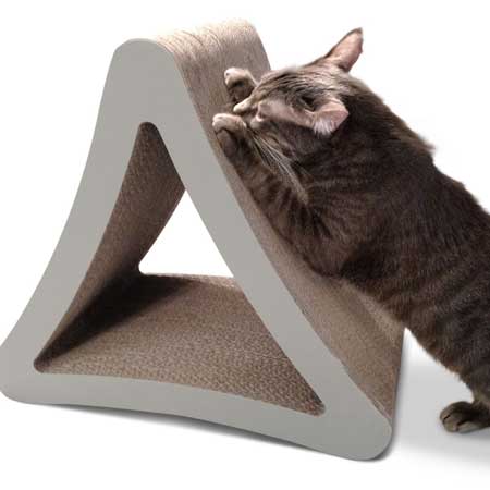 Get a cat scratcher and save your sofa!