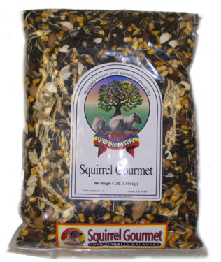 best food for squirrels - mixed pumpkin seeds what can squirrels eat