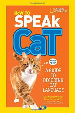 How to Speak Cat: A Guide to Decoding Cat Language 4