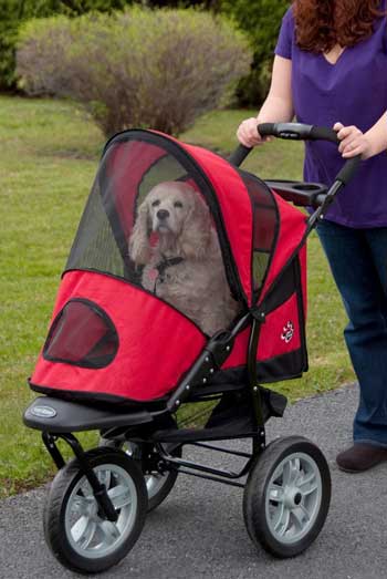 all terrain dog stroller