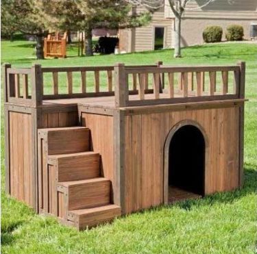 dog house with flat roof and stairs