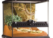 Exo-Terra-Glass-Reptile-Terrarium