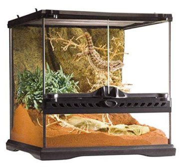 good pet snakes terrarium