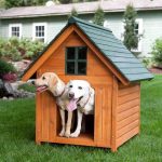 Extra-Large-Outdoor-Dog-House-Dog-Kennel