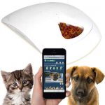 Feed-and-Go-Smart-Pet-Feeder