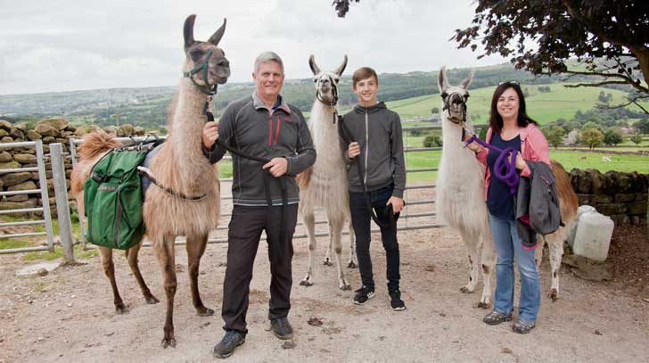 llama trek the nesbitts at nidderdale