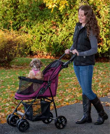 best dog stroller review