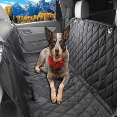 car cover for pets