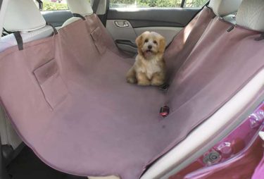 car cover for pets