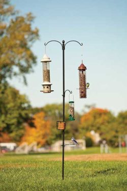 cool bird tables