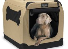 Petnation-Port-A-Crate-Indoor-and-Outdoor-Home-for-Pets