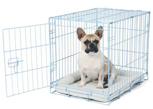 Single Door Metal best Dog Crates Carlson Pet Deluxe Pet Crate – Small 