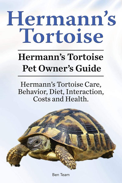 tortoise as a family pet book guide