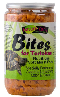 having a tortiose for a pet food