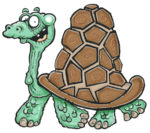 how-to-draw-a-cartoon-tortoise6f