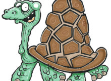 how-to-draw-a-cartoon-tortoise6f
