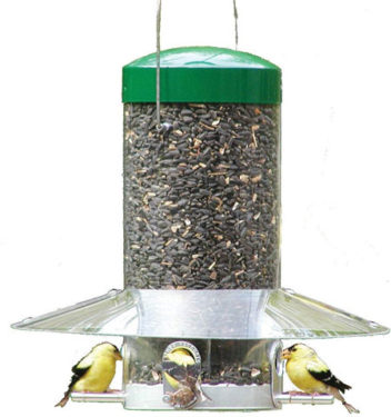wild bird feeder