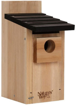 Wild bird boxes in your garden